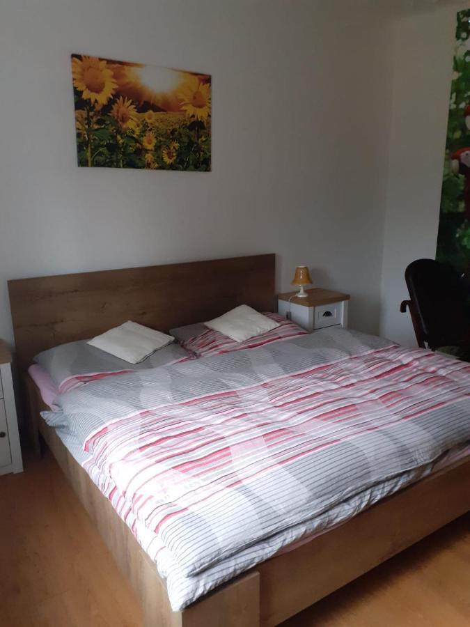 Apartman Ema Sloup  Exteriör bild